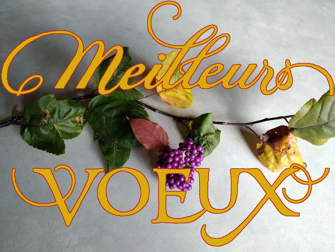 Meilleurs voeux 2021